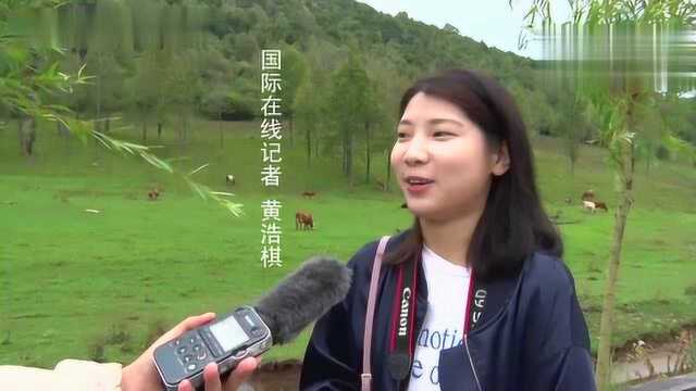 关山草原,来看一下这浪漫与酒的草原