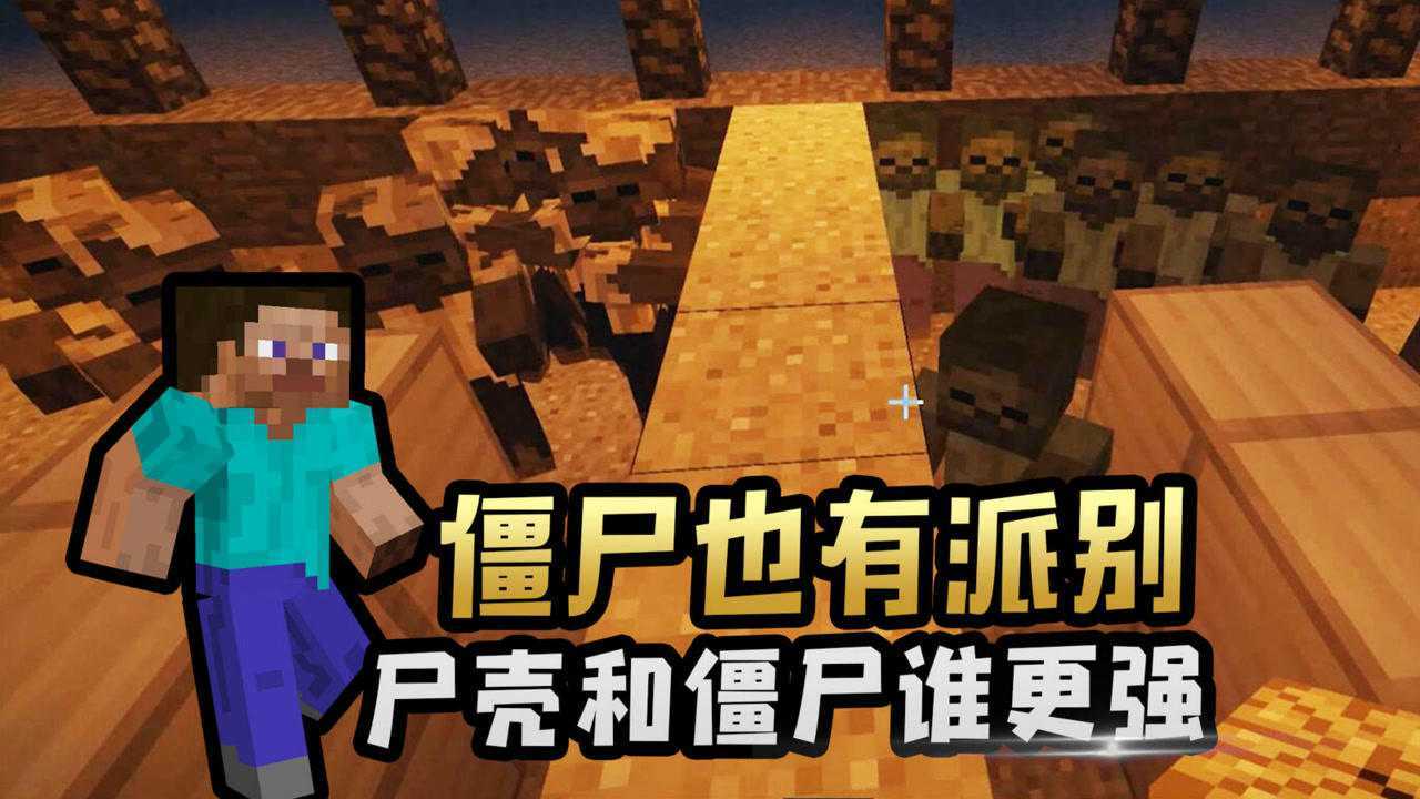 我的世界:僵尸和尸壳实力对比,最终结果竟然是尸壳险胜_高清1080p在线