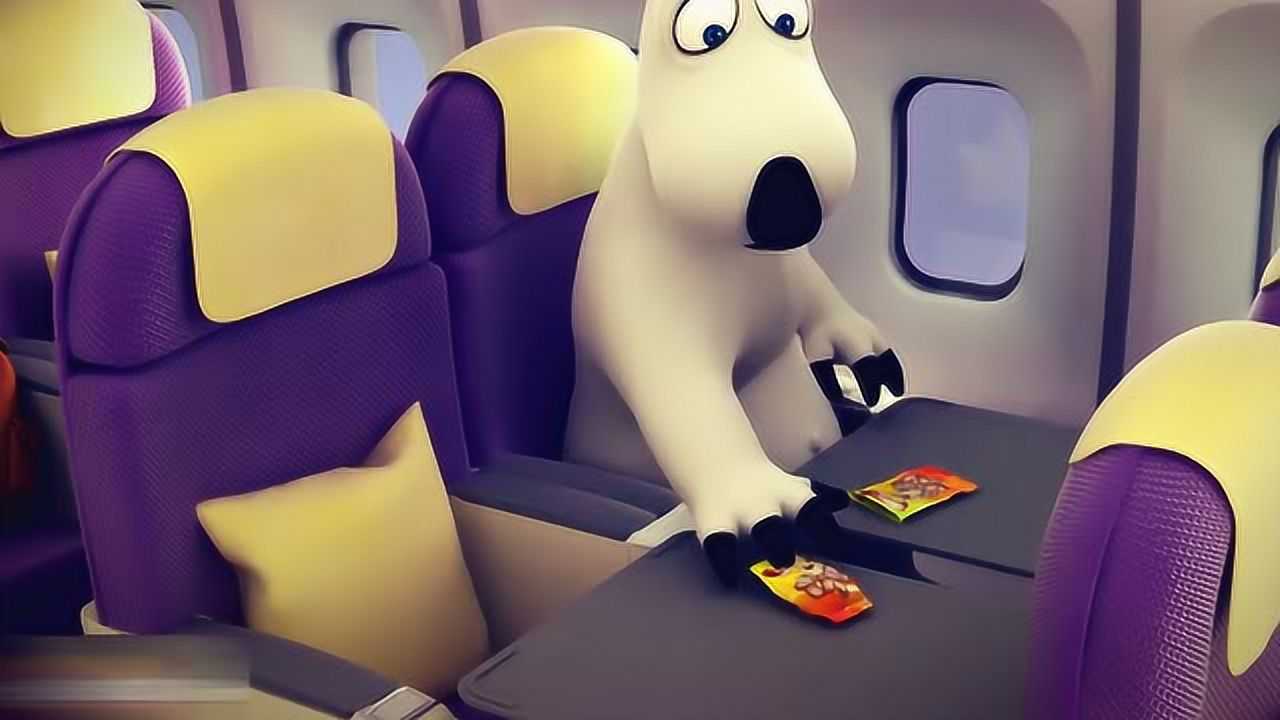 倒霉熊贝肯偷吃企鹅的飞机餐结果企鹅质问它装睡