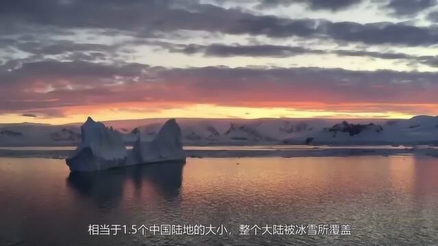 中国游客渐成南极旅游主力 外国导游:中国游客素质让人惊讶