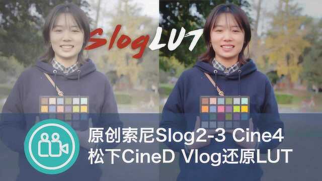 原创索尼slog2 slog3 cine4松下cineD颜色还原lut