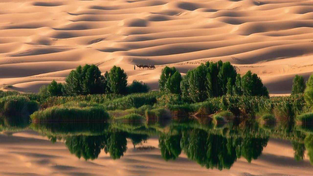 如果地球上沙漠都变成森林,对人类是不是好处巨大?看完背后一凉!
