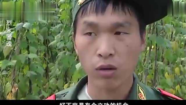 烈火警魂:森林突发大火,向原始森林蔓延,森警火速奔赴大伙现场