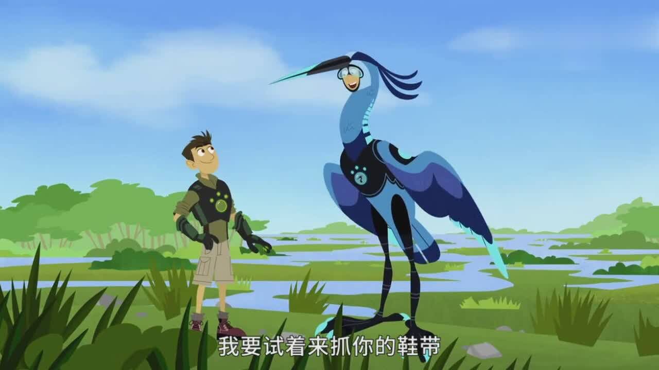 动物兄弟扎克变身成蓝色苍鹭的样子太可爱了