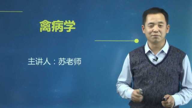 2019年执业兽医师考试:综合科目禽病学鸡新城疫