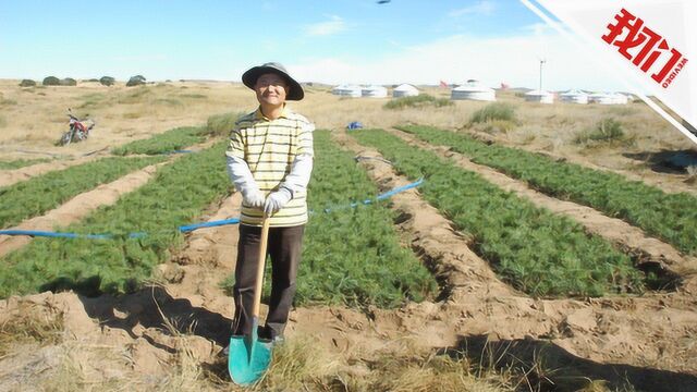 “锹王”廖理纯:辞去董事长 组织志愿者8年植树100多万棵