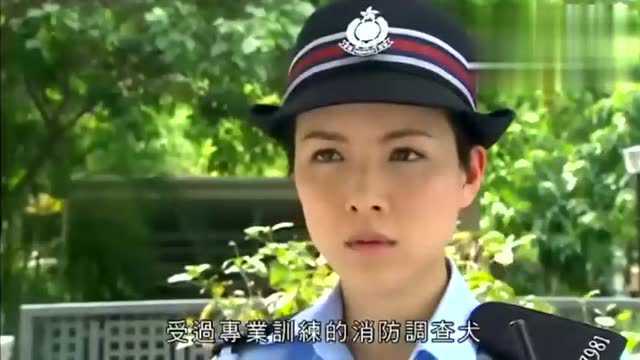 烈火雄心III:黄宗泽用警犬帮警方找到纵火案嫌犯!