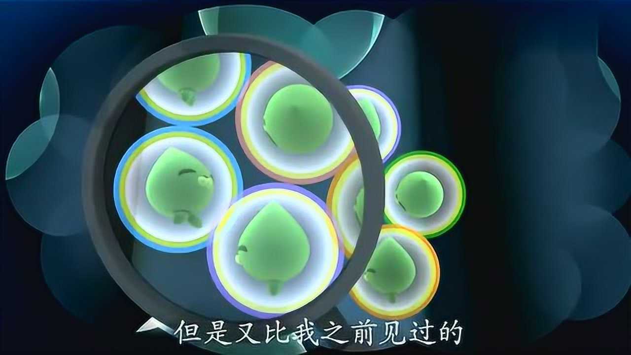 海底小纵队:谢灵通给小纵队解释自己为什么给小萝卜取名植物鱼