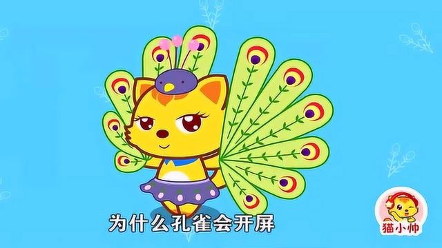 猫小帅儿童益智故事:十万个为什么