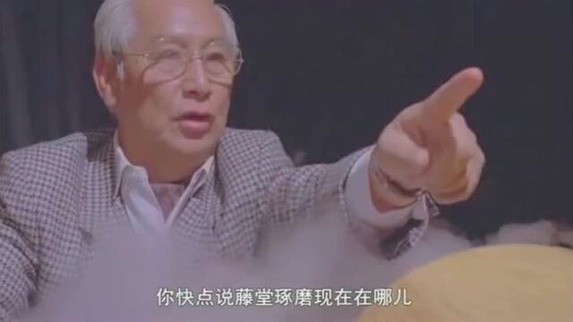 霸道纵横:由胡慧中,钱嘉乐,卢惠光联合出演 92年火爆的电影