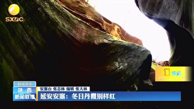 大美陕西73:难得一见!延安安塞冬日丹霞别样红