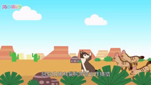 海豚帮帮号 第一季 船长日记-鬣狗和狼_高清1080p在线观看平台_腾讯