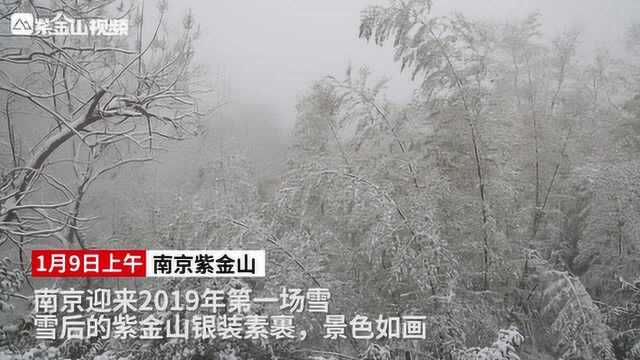 雪中的紫金山,美成了仙境!