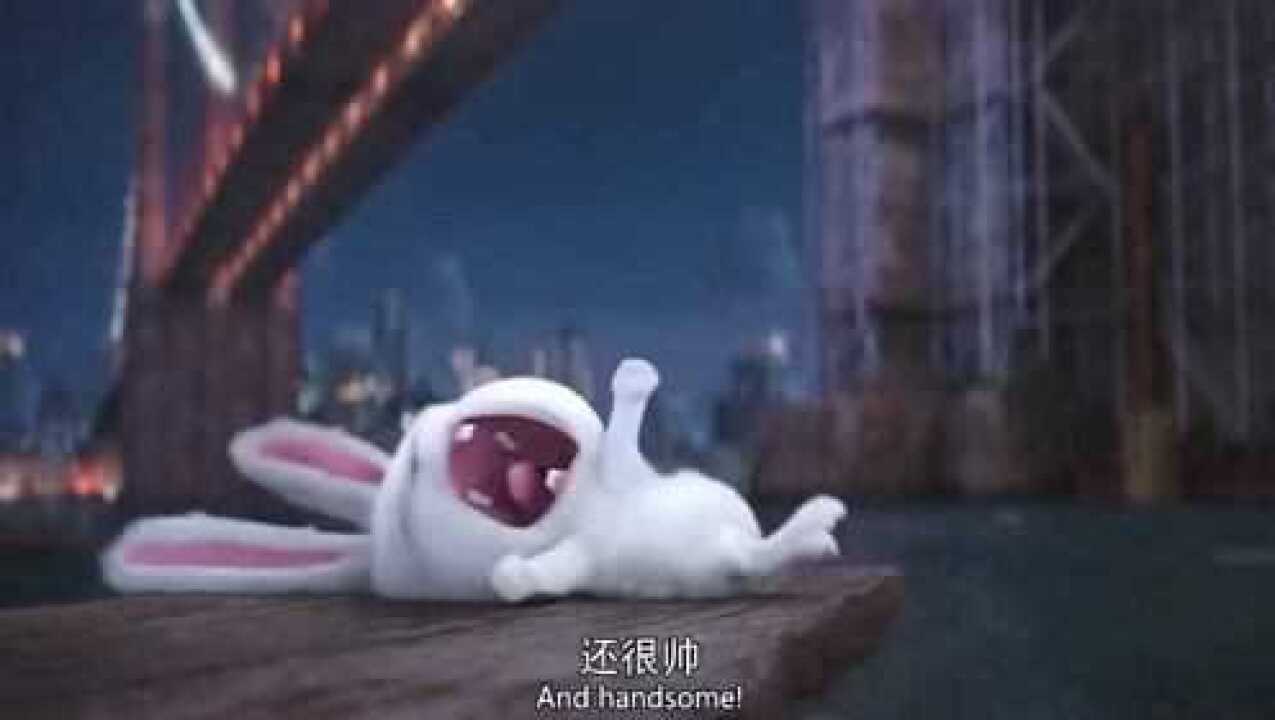 爱宠大机密:兔子感觉自己是个英雄,还很帅