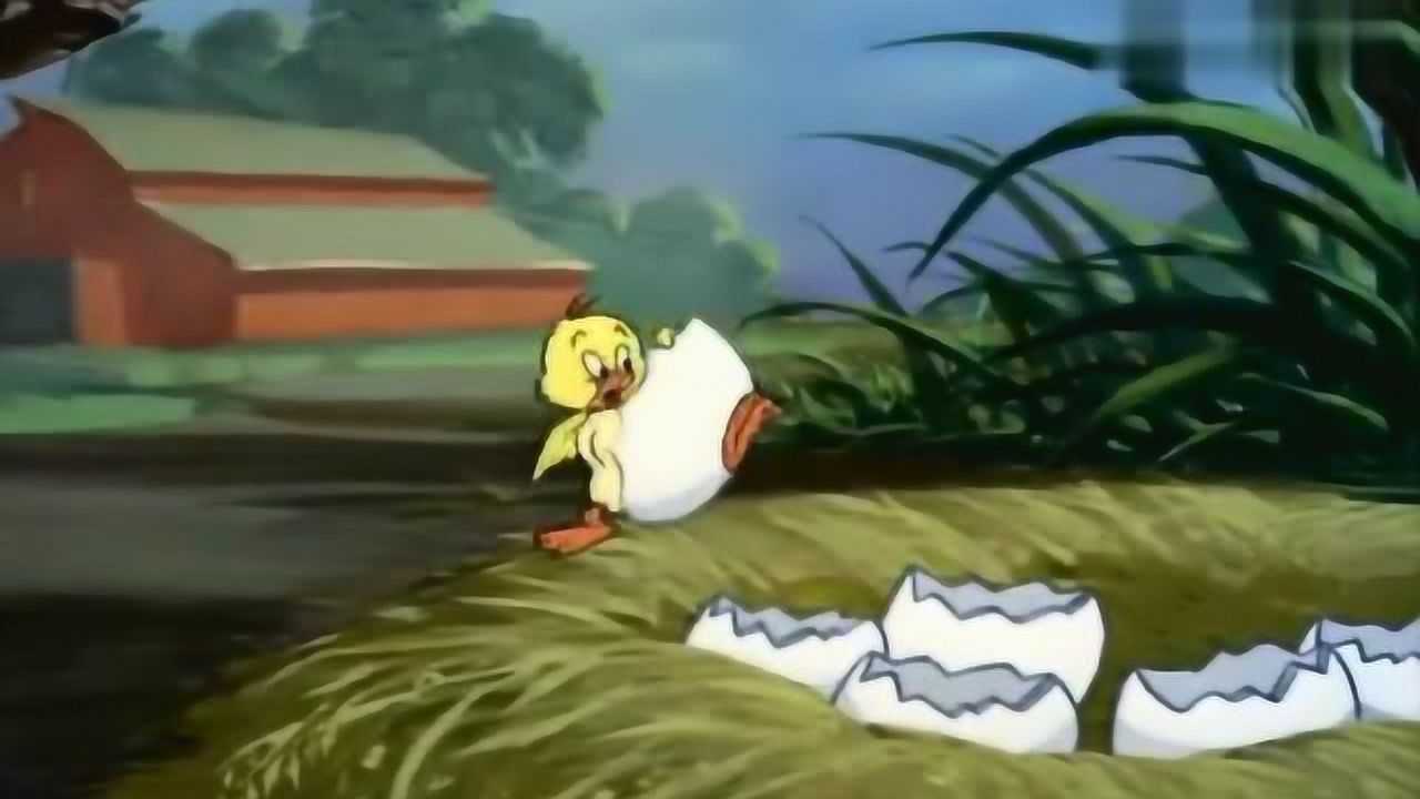 猫和老鼠鸭妈妈生了6只小鸭子小鸭子出生了妈妈带它们游泳