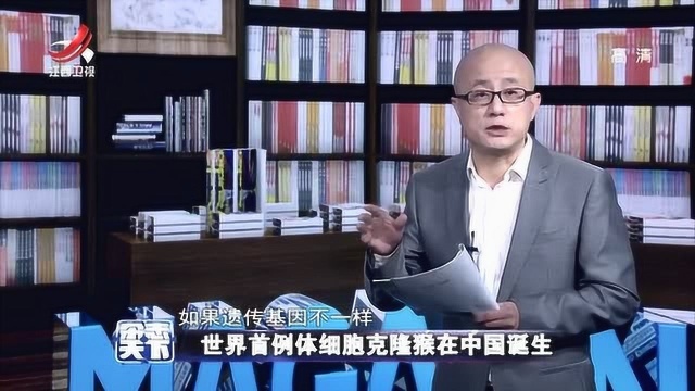 世界首例体细胞克隆猴在中国诞生,分别叫“中中”和“华华”