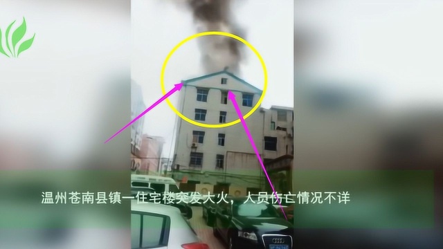 温州苍南县镇一住宅楼突发大火 人员伤亡情况不详