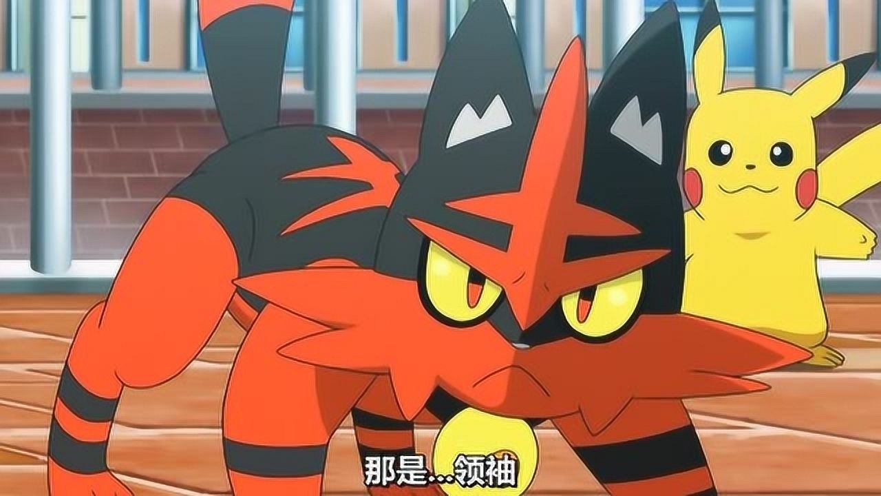 宠物小精灵,喵喵见到进化后的火斑喵,从心里为它高兴_高清1080P在线观看平台_腾讯视频
