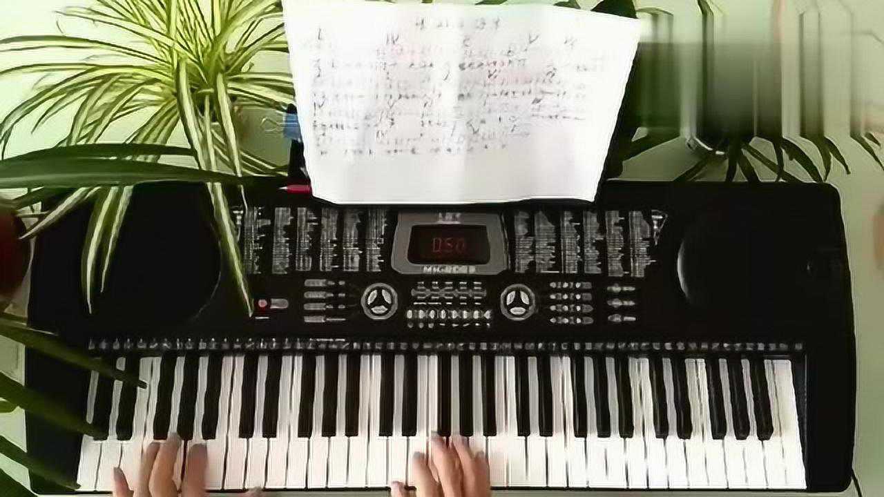 电子琴键盘轻松易学无旋律弹唱《惜别的海岸》左手伴奏和弦14256