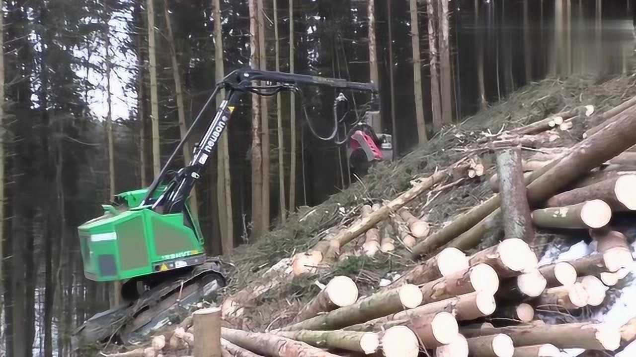 感受下老外的科技,看看他们是怎么砍树的,这伐木机真是厉害了