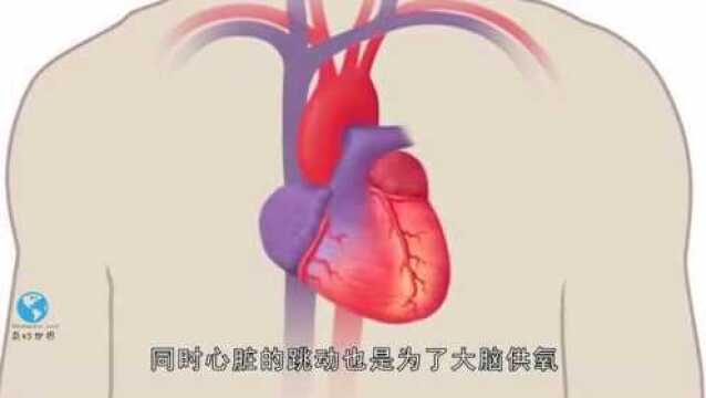 如果心脏突然停止跳动10秒钟,会有什么后果?看完简直不敢相信!