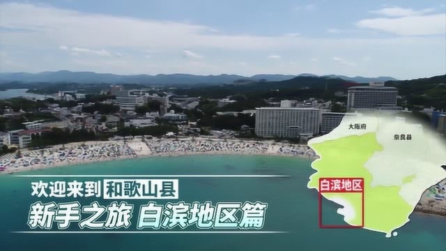 淘最霓虹关西 和歌山县 环游白滨地区