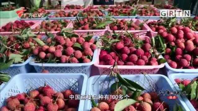 中国荔枝品种有100多个,增城荔枝最受欢迎,脱颖而出获金奖!