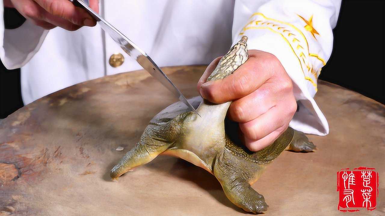 杀甲鱼的时候甲鱼血甲鱼胆到底应该怎么处理厨师长来告诉你