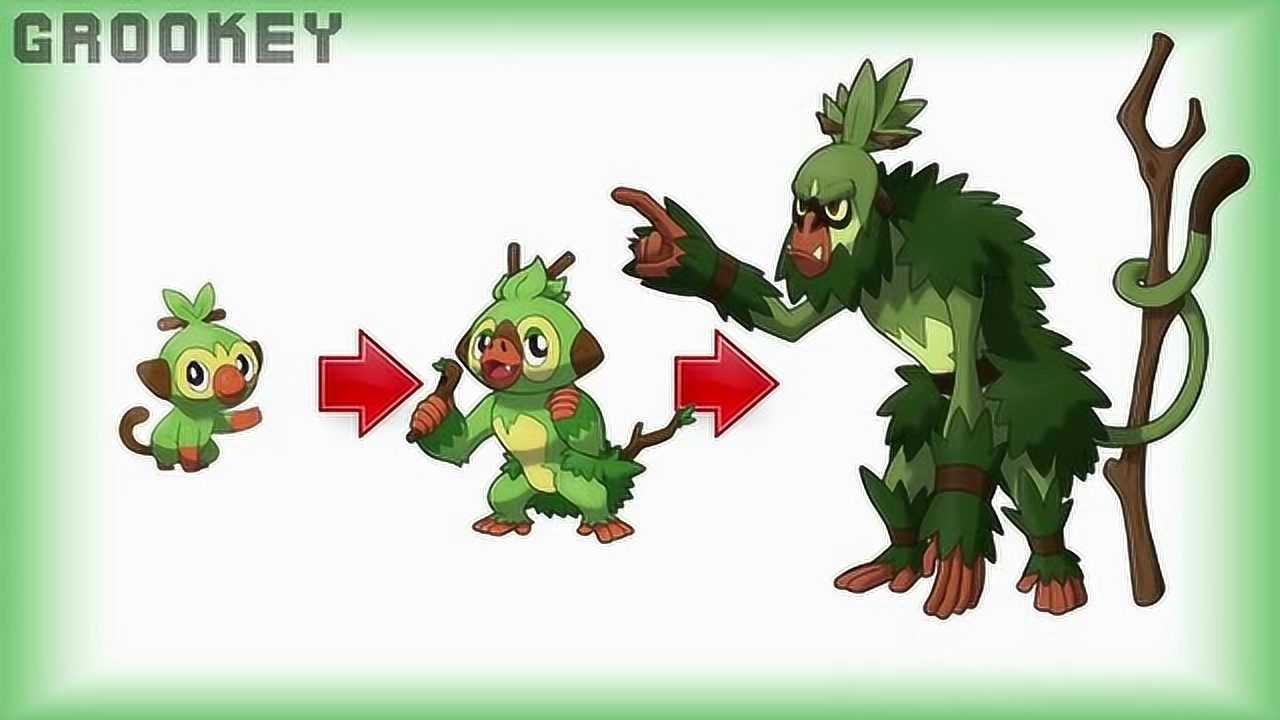 精灵宝可梦动漫盘点神奇宝贝第八代御三家的多种进化可能性你最喜欢哪