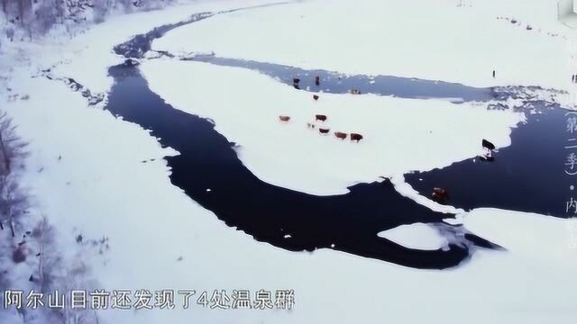 航拍中国:阿尔山目前有4处温泉群,最奇特的是冷泉和温泉共存一处