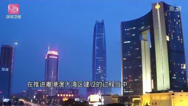 唱响大湾区进行曲 对话东莞市委书记梁维东