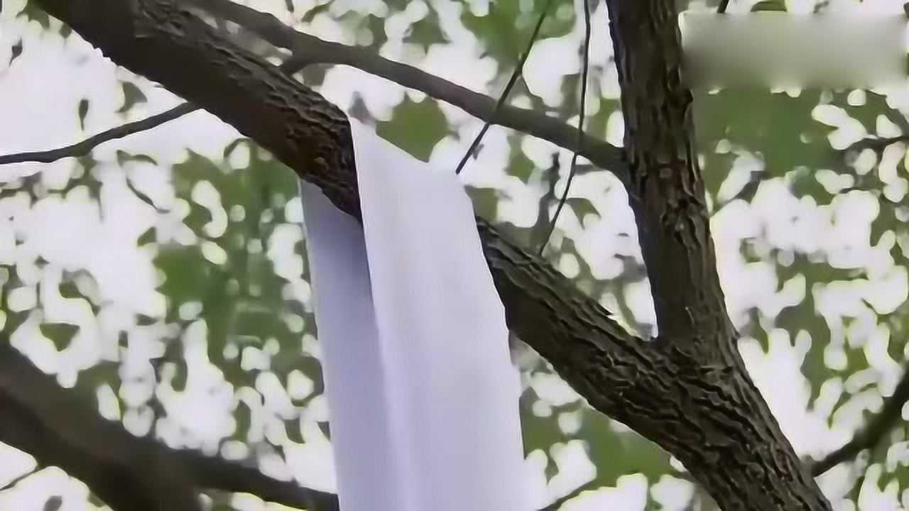 美女上吊自尽，没想到白绫断开，下一秒神奇的事情发生了_腾讯视频