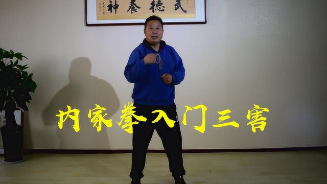 练习内家拳切忌三害,初学者练太极拳必知要点,武术教学