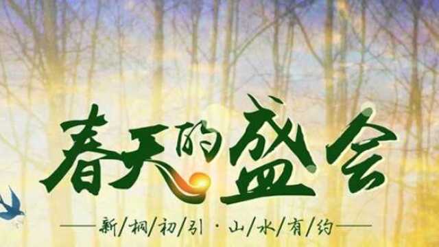 新桐初引 山水有约 2019新桐“春天的盛会”