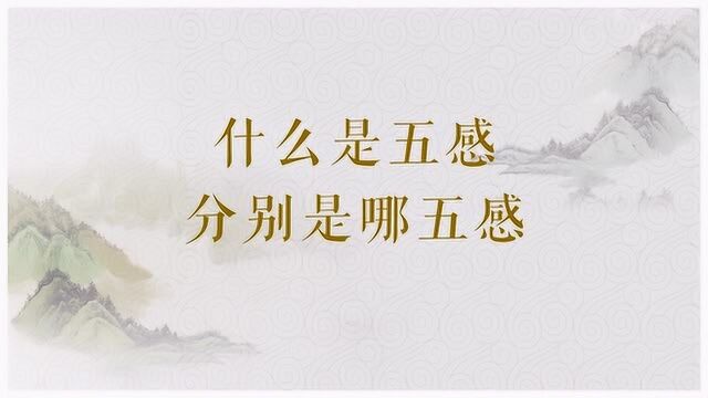 什么是五感,分别是哪五感?