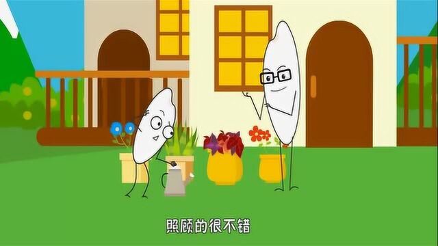 为什么说黑土是最肥沃的土壤?