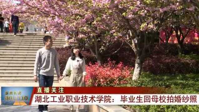 湖北工业职业技术学院:毕业生回母校拍婚纱照,青春的回忆