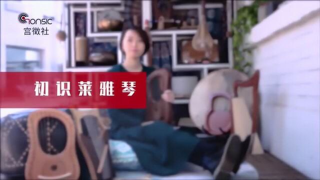 如何选购莱雅琴:初始莱雅琴