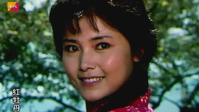 1980年《红牡丹》主题曲《牡丹之歌》蒋大为