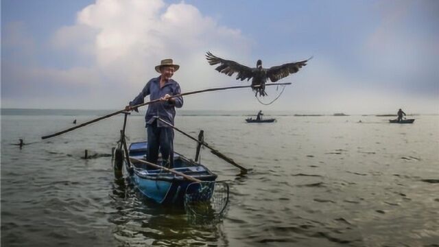 我国“第三海军部队”,单挑美国间谍船,不要任何特殊待遇