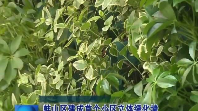 蚌山区建成首个小区立体绿化墙 提升老旧小区环境