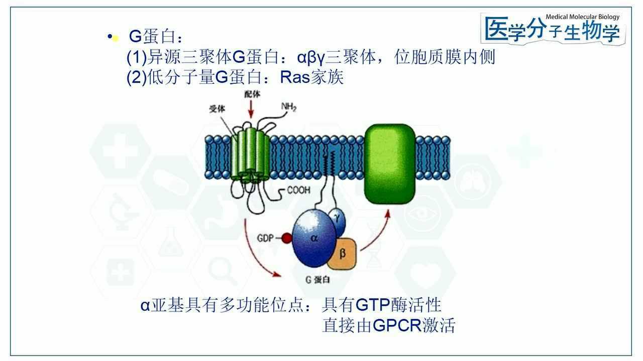第二信使分子_腾讯视频