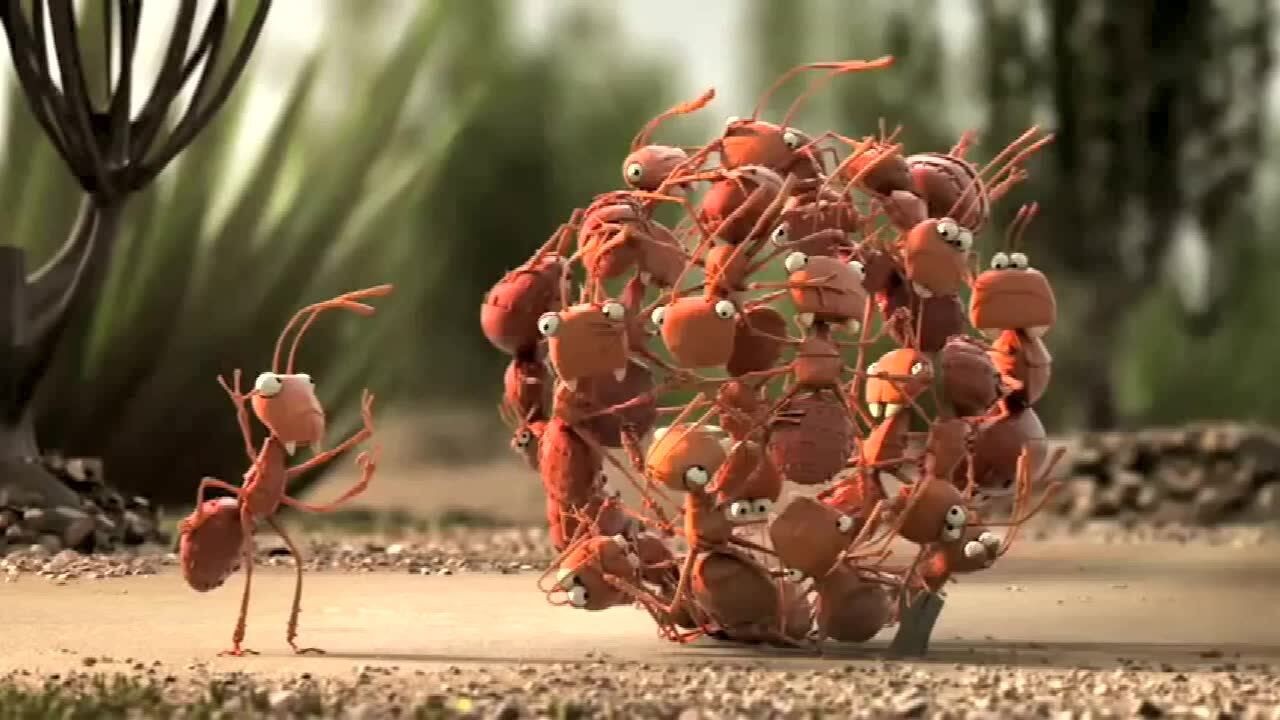 团结的起来,没有什么是打不倒的一群蚂蚁大战食蚁兽