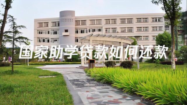 国家助学贷款如何还款