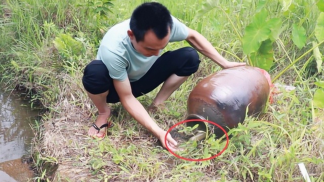 M仔河沟捞起一个大缸,刚要倒出来就听到里面哗哗哗的声音