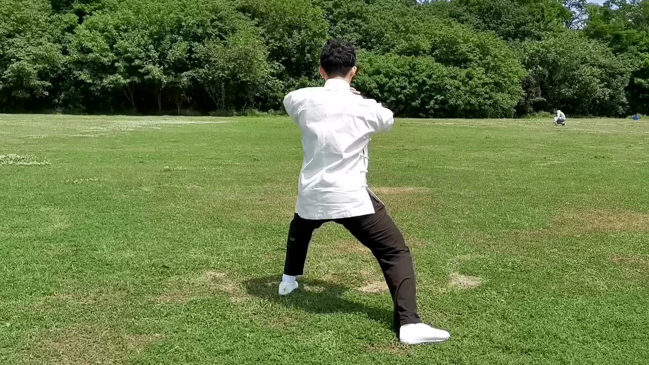 陈氏太极拳老架一路背面示范——陈其学