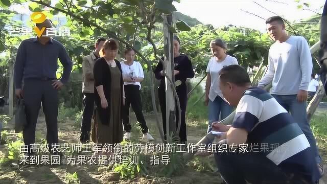 您听说过劳模工作室吗?它能带动5000名农户脱贫致富!