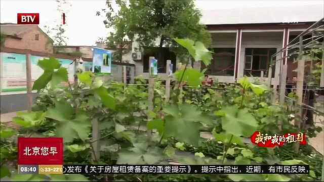 科技小院:探索绿色农业可持续发展之路