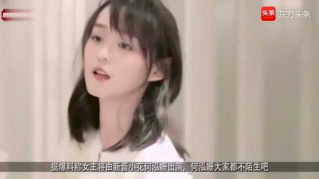 《熹妃传》确定主演,男主是偶像剧鼻祖,女主却被网友质疑没气场