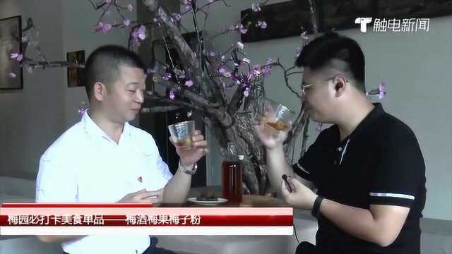 打卡陆河特有美食:梅酒梅果梅子粉